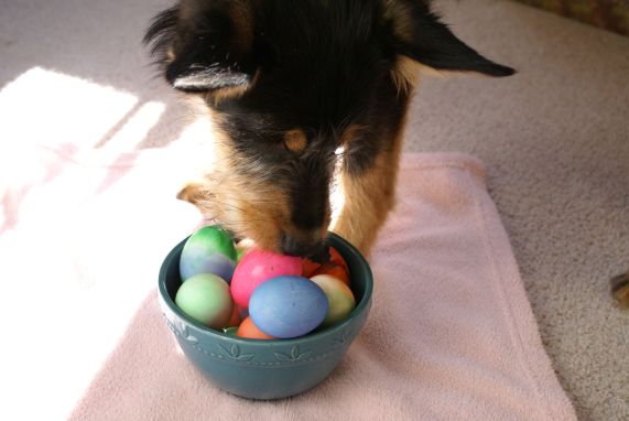 cancerinmythirties.wordpress.com breast cancer thirties 30s 30's Easter