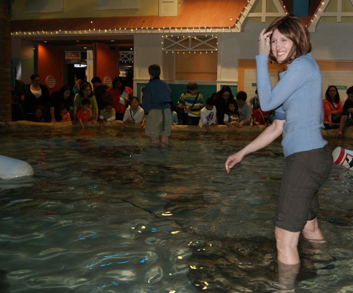 surprise the daily post weekly photo challenge cancerinmythirties.wordpress.com breast cancer feeding the stingrays philadelphia camden, nj Adventure Aquarium thirties 30s mom motherhood family sting ray tank touch wading