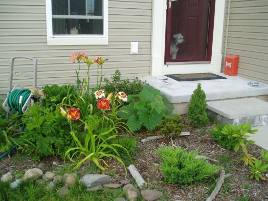 cancerinmythirties.wordpress.com cancer thirties 30s 30's twins dog young