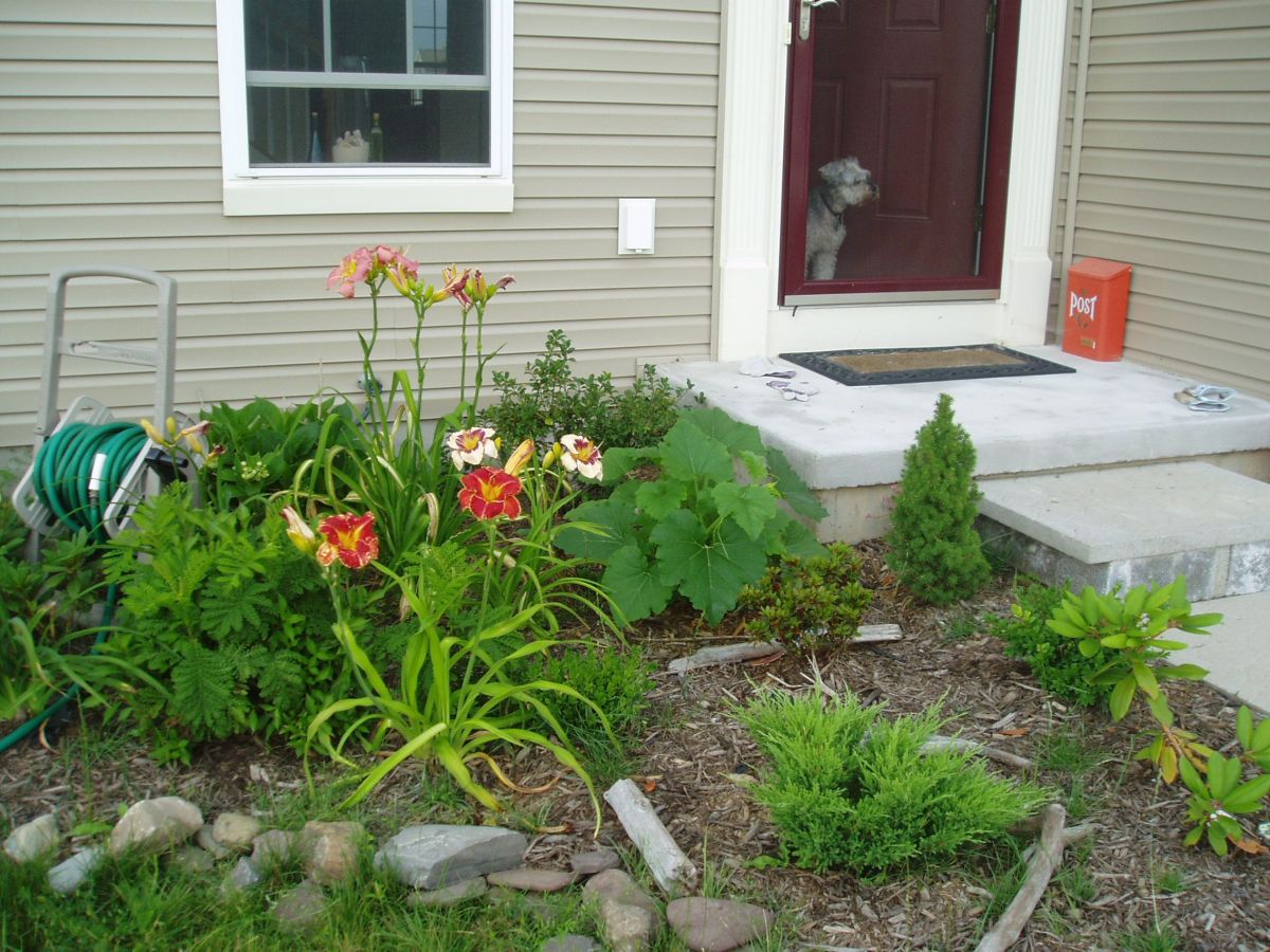 cancerinmythirties.wordpress.com cancer thirties 30s 30's twins dog young