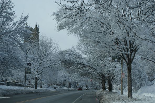 cancerinmythirties.wordpress.com cancer thirties 30s 30's twins dog young