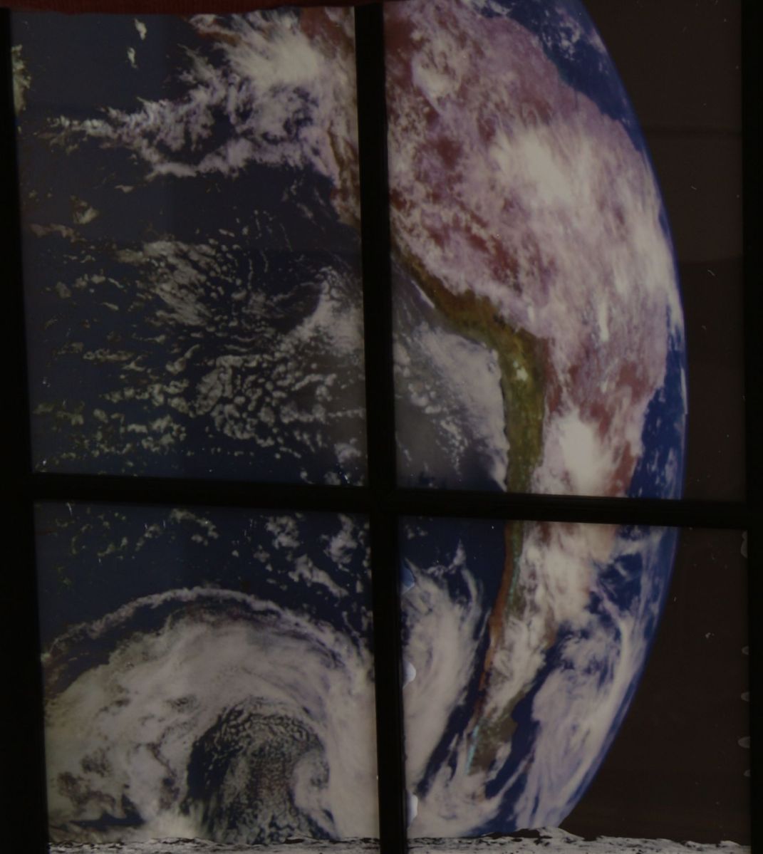 cancerinmythirties.wordpress.com cancer thirties 30s 30's twins dog young