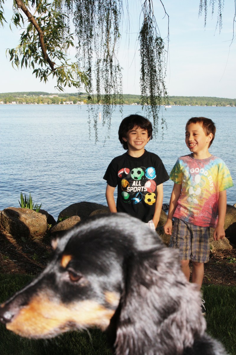 cancerinmythirties.wordpress.com breast cancer thirties 30's 30s dog miniature dachshund park