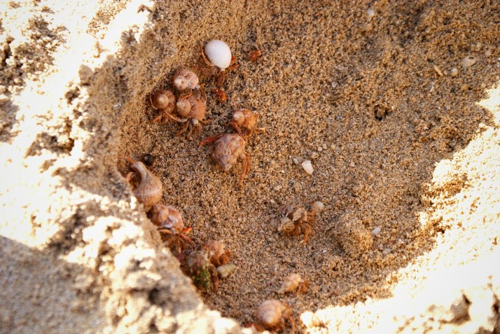 breast cancer thirties 30's 30s young puerto rico