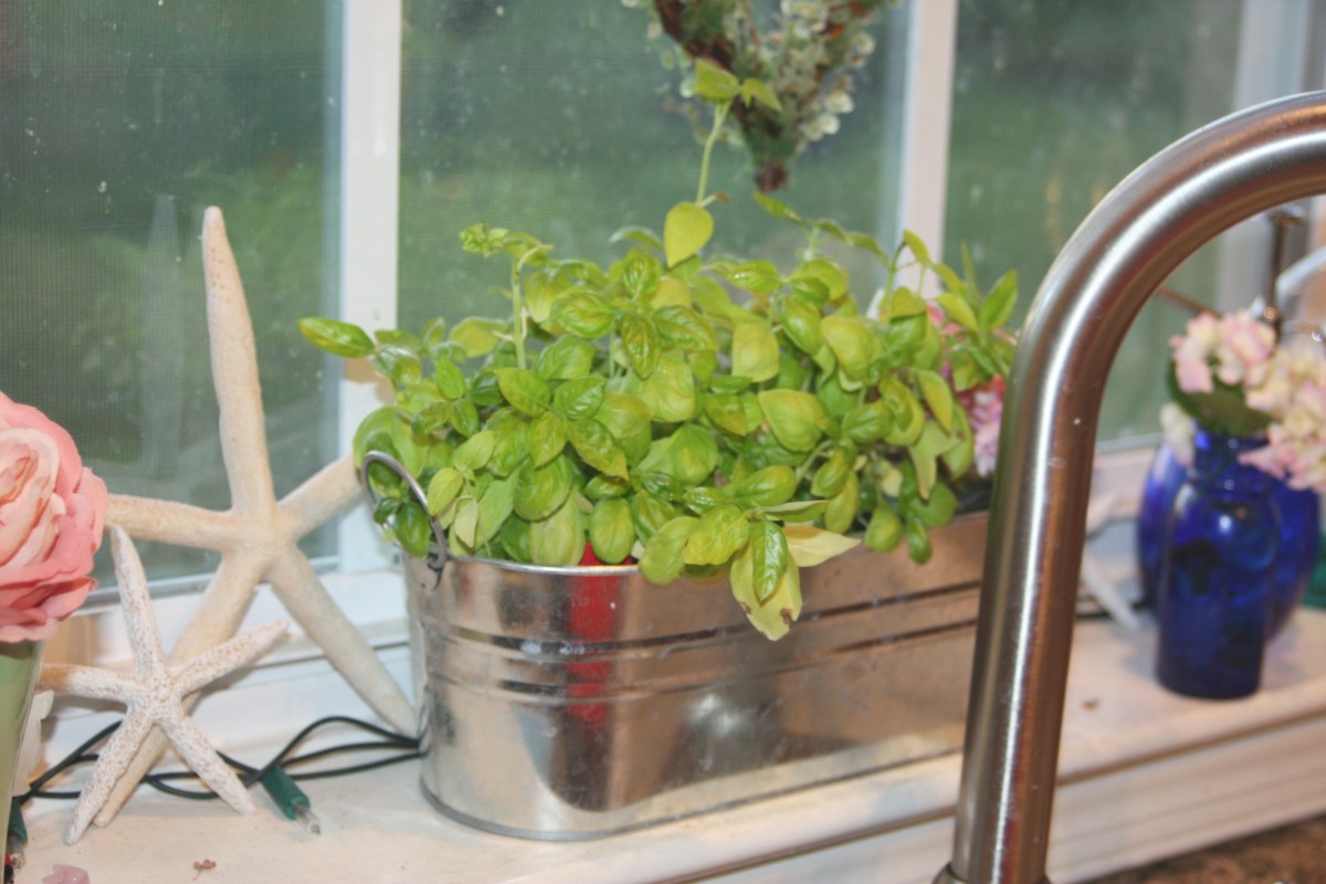 breast cancer thirties 30's 30s bsdil