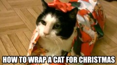 Photo Credit: www.craveonline.com 