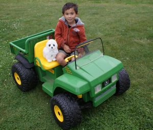 breast cancer thirties 30s 30's world cancer day twins owl john deere gator