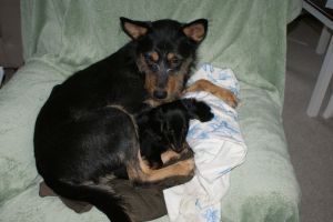 breast cancer thirties 30s 30's