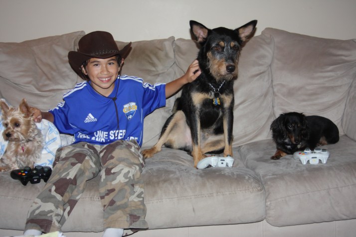 breast cancer 30s thirties 30's stage iiic 3c mastectomy dogs kids family life