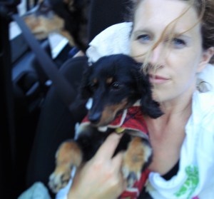 breast cancer thirties 30s 30's dog dogs wiener german shepard stage 3c young kids family miniature dachshund summer jeep